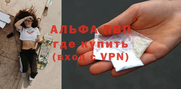 дживик Ельня