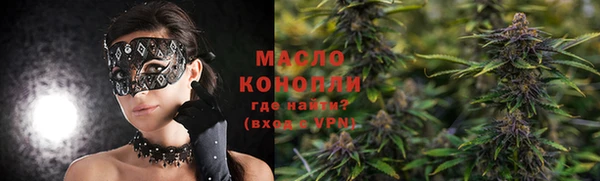 дживик Ельня
