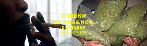дживик Ельня