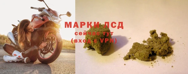 ПСИЛОЦИБИНОВЫЕ ГРИБЫ Дмитровск