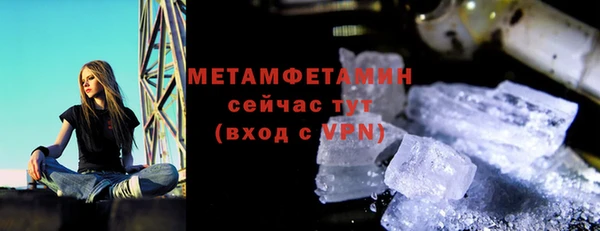 дживик Ельня