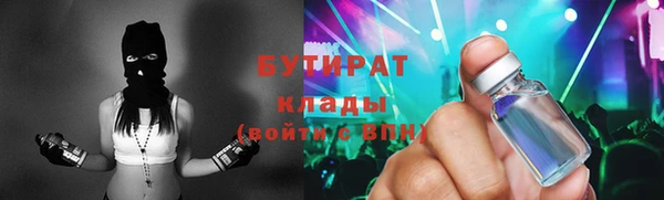 дживик Ельня