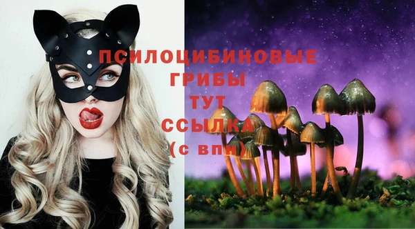кокаин Елизово