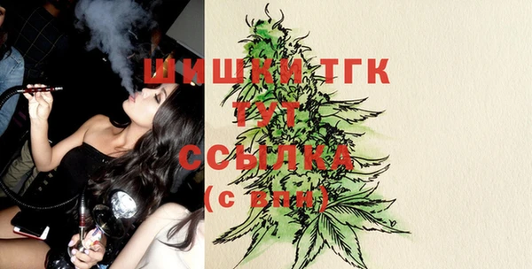 дживик Ельня