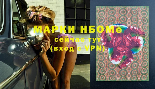 дживик Ельня