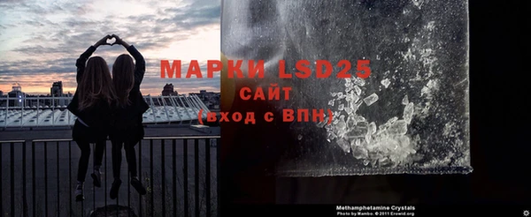 дживик Ельня