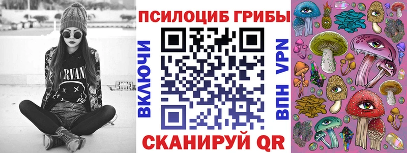Галлюциногенные грибы Psilocybe Острогожск