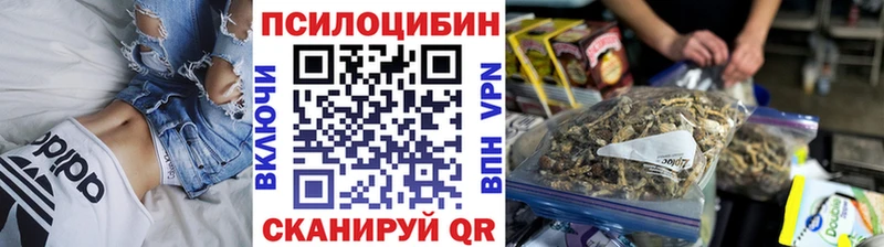 Псилоцибиновые грибы Psilocybine cubensis  Острогожск 