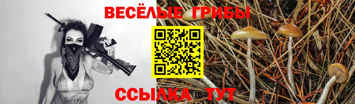 Острогожск  Псилоцибиновые грибы GOLDEN TEACHER  Вход с VPN 